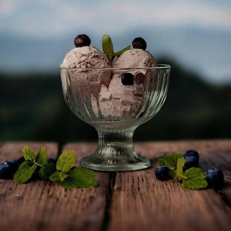 泰拉维 Vinoodor - Ვინოოდორ酒店 外观 照片